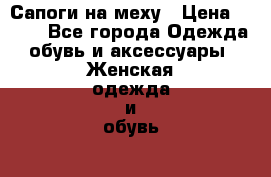 Сапоги на меху › Цена ­ 850 - Все города Одежда, обувь и аксессуары » Женская одежда и обувь   . Свердловская обл.,Сухой Лог г.